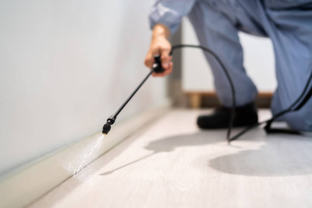 Best Flea Control Services  in Fairfield Plantation, GA
