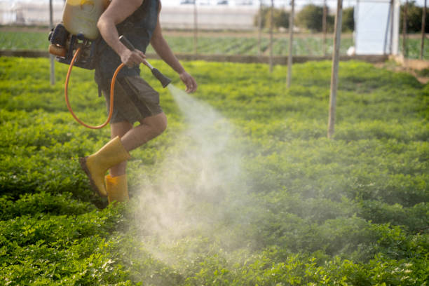 Reliable Fairfield Plantation, GA Pest Control Solutions