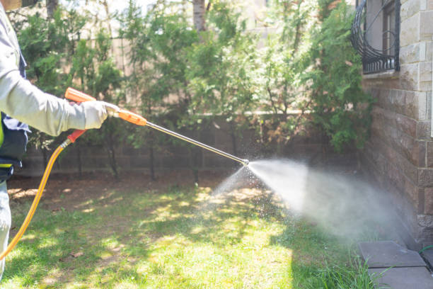 Best Local Pest Control Services  in Fairfield Plantation, GA