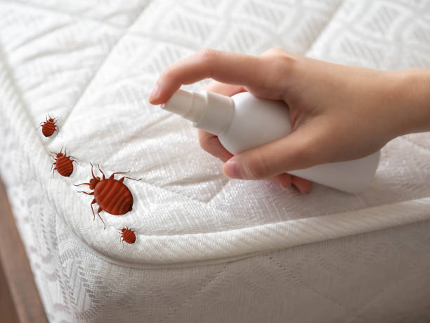 Best Residential Pest Control  in Fairfield Plantation, GA