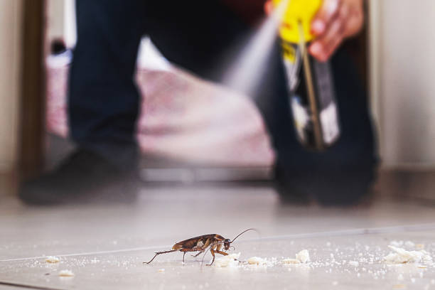 Best Cockroach Control Services  in Fairfield Plantation, GA
