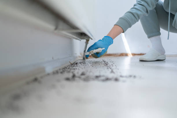 Best Bed Bug Extermination  in Fairfield Plantation, GA